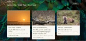 Safari travel website blog posts