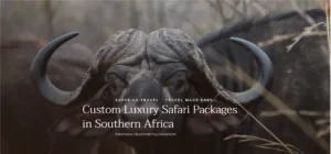 Safari travel website hero